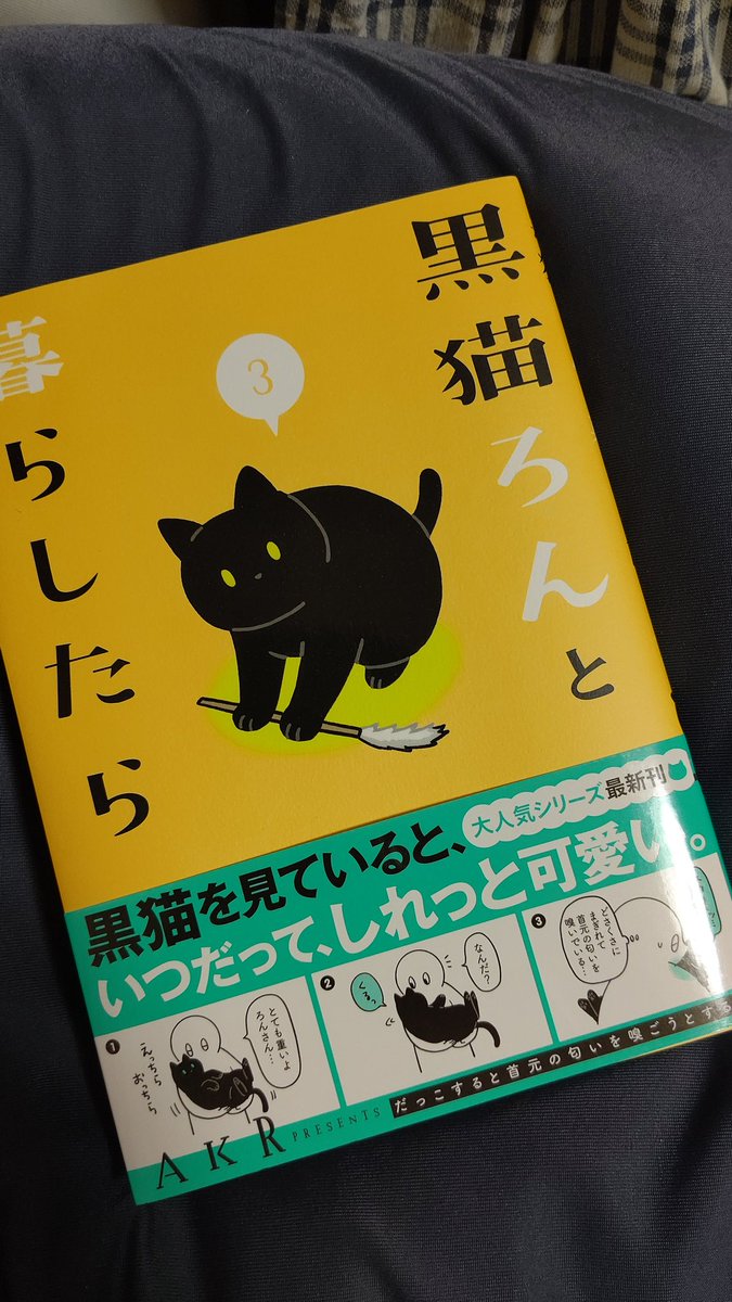 かめの りょう 黒猫ろんと暮らしたら 最新刊読みました おまけのカードも含めて可愛いが詰まってました そしていつものことながら装丁が可愛い つやつやニス塗りのろんちゃんむーちゃんを無限になでなでしてしまう