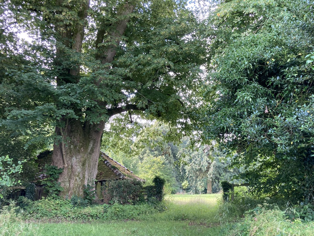 Looking for a #studio space on #Wiltshire #somerset #Dorset border. Can you help?
#artistspace #artiststudio #southwest #ukartists #painter #garages #sheds #barns #outbuildings #summerhouses #artiststudiosforrent