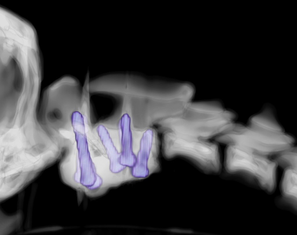 Ben Walton tweet media