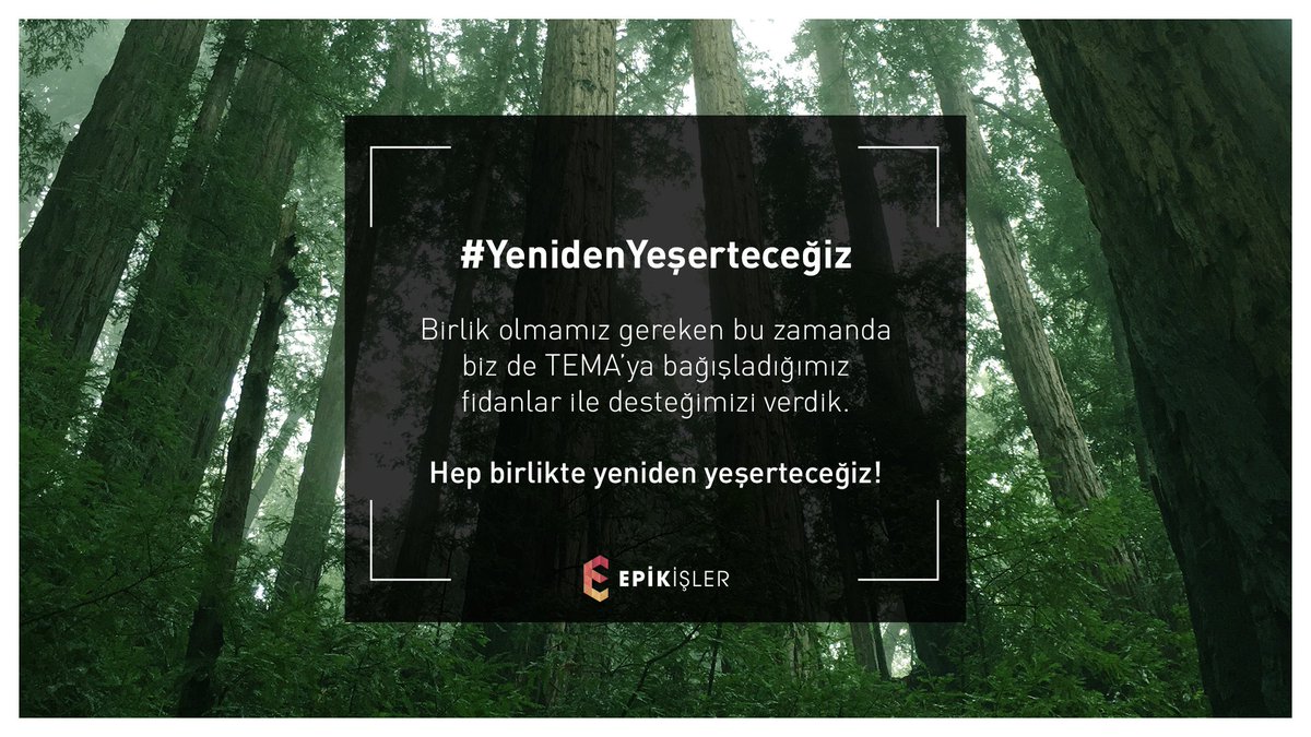 Birlik olmamız gereken bu zamanda biz de TEMA'ya bağışladığımız fidanlar ile desteğimizi verdik. Hep birlikte #YenidenYeşerteceğiz! 🌲Umudu da #BirlikteYeşerteceğiz