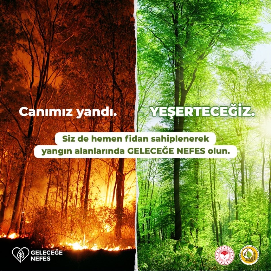 OGMgovtr's tweet photo. Yaralarımızı el birliğiyle saracak, yanan orman alanlarımızı hep birlikte yeşerteceğiz.🌲🌳

Haydi siz de ücretsiz olarak fidan sahiplenin ya da bağış yapın, #YeşilVatan’ın dört bir tarafında adınıza fidanlar büyüsün.🌱 💚

👉https://t.co/OXGmeKsFeJ https://t.co/fJhMsIWqFD