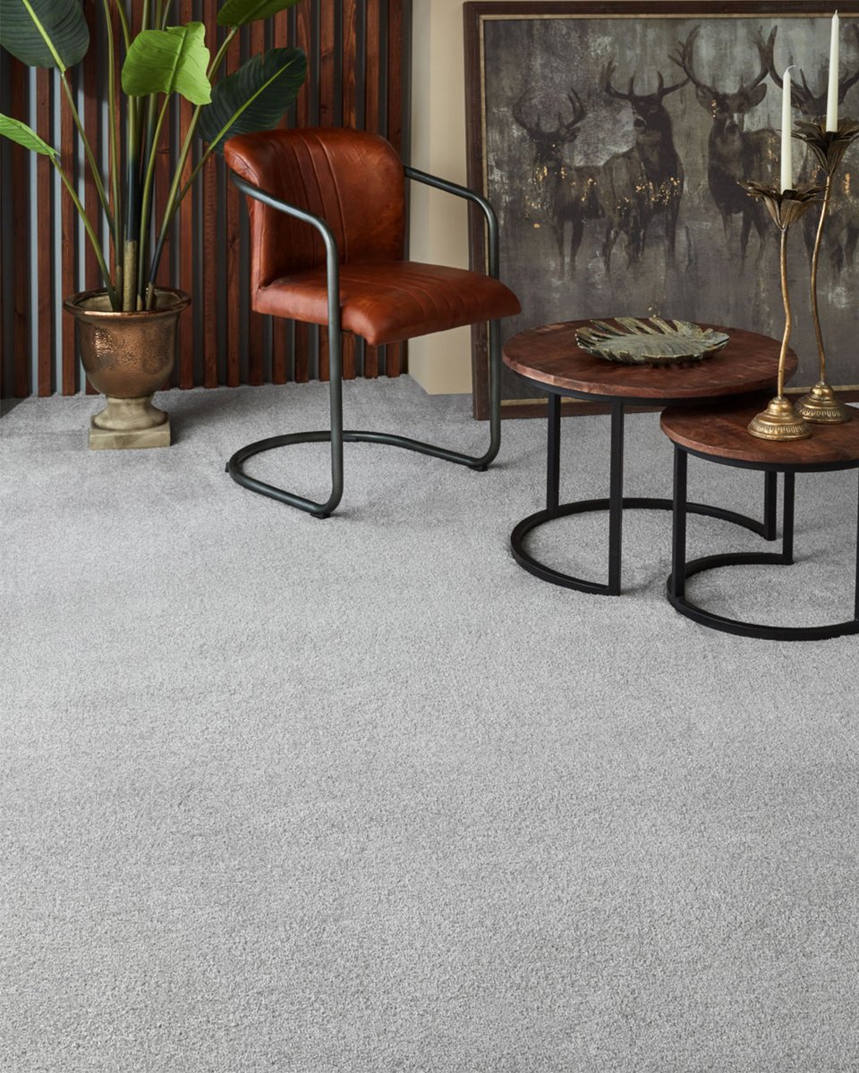 Introduce comfort &amp; style with our Marbella #Carpet range ✨

A luxurious feel underfoot is combined with #Neutral selections to pair with any #Interior 😍

Accessorized with stunning furnishings from Baytree Interiors 🙌  

🛒 Take a look for yourself!
👉 bit.ly/3l14GXD