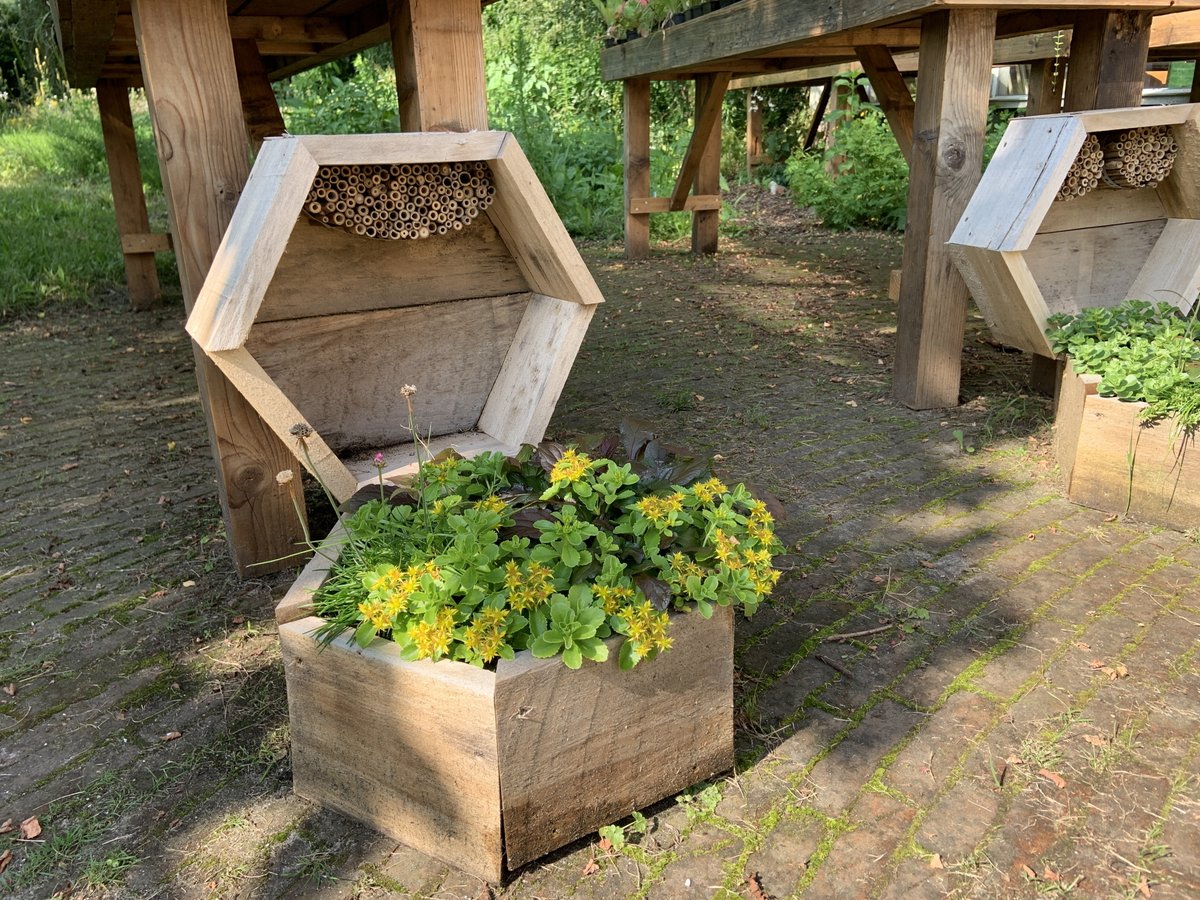 HatRabbits's tweet photo. Vorige week donderdag waren we bij @dekleineaarde samen met Eric van stichting @food4bees 🐝 Hier hebben we (onder het genot van een kopje bloementhee uit eigen tuin 🌸) nagedacht over vervolgstappen om Easy Bee-See een stap verder te brengen. https://t.co/oflZfr7XPV