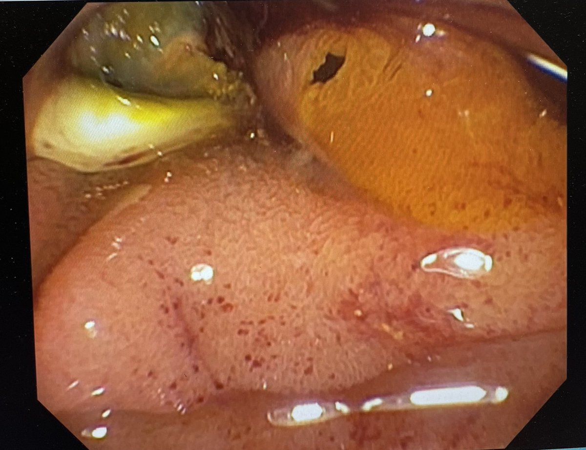 Andy Tau, MD tweet media