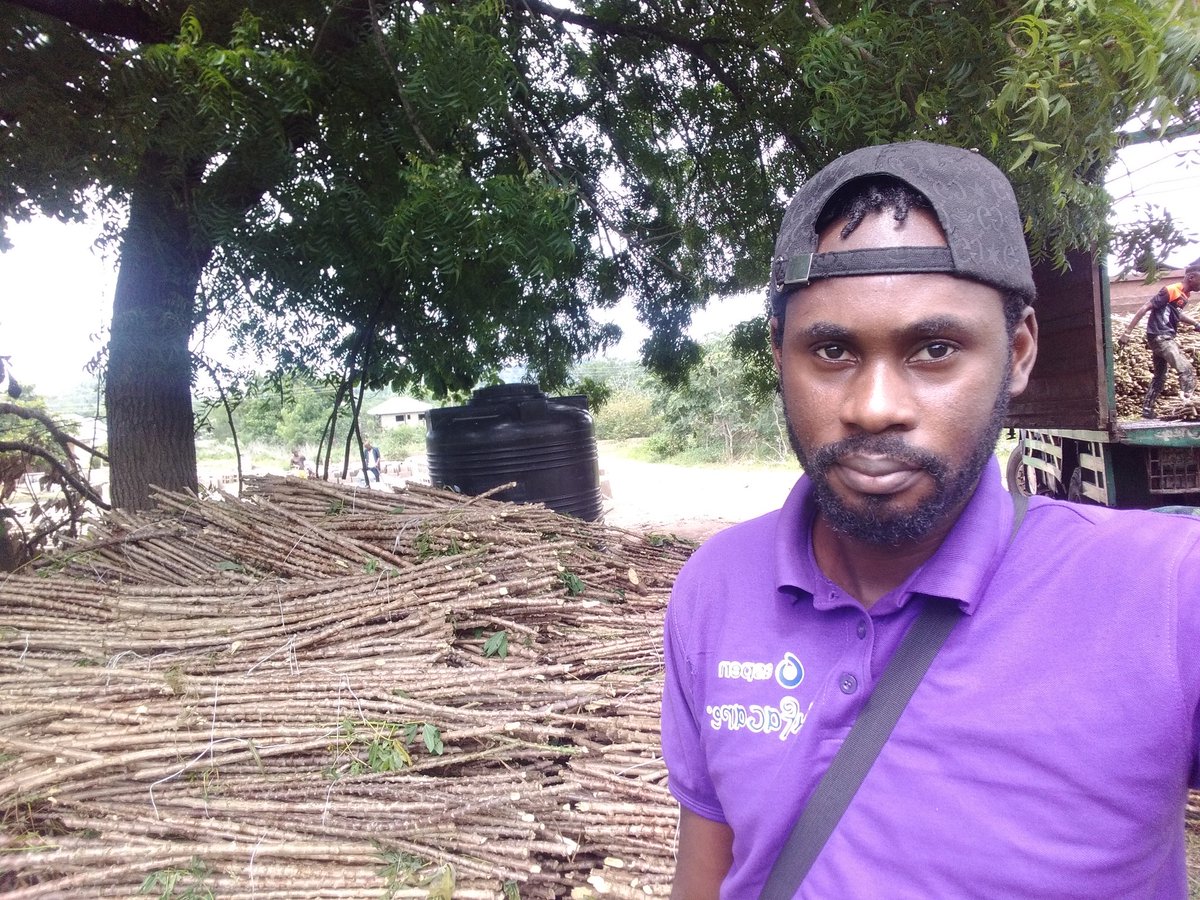 EletaValentine's tweet photo. From beginning to end, we've got your back 💪🏾

From land preparation, supply of improved planting materials, management of farm operations, harvesting and processing, we've got you covered. 
#WeKnowCassava

Let's talk business!

#Agribusinessnaija #AgribusinessTalk https://t.co/THuxGyEspX