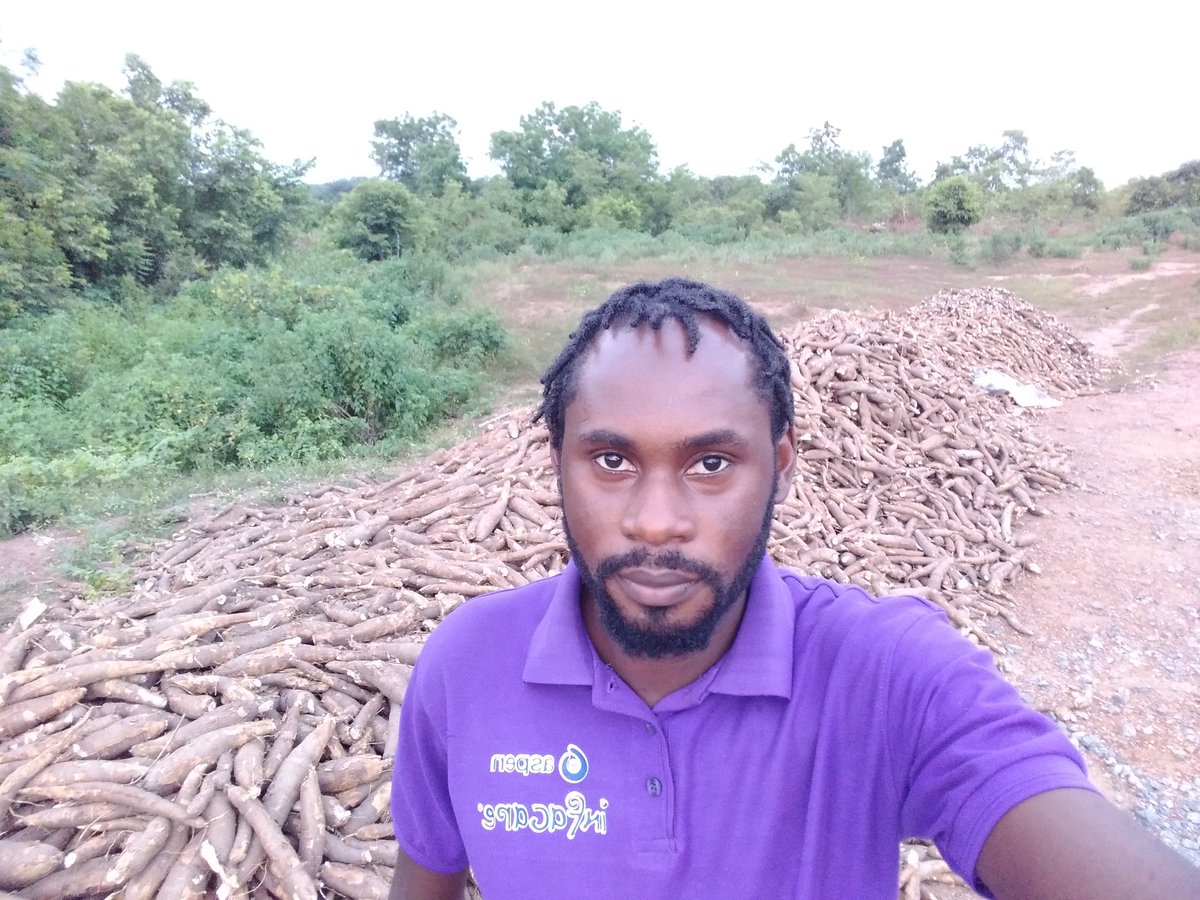 EletaValentine's tweet photo. From beginning to end, we've got your back 💪🏾

From land preparation, supply of improved planting materials, management of farm operations, harvesting and processing, we've got you covered. 
#WeKnowCassava

Let's talk business!

#Agribusinessnaija #AgribusinessTalk https://t.co/THuxGyEspX