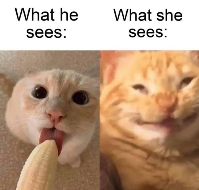 #funnycats #blowjob #Caturday https://t.co/fKVus1Z5R6<a href="/tag/funnycats"class="tags">#funnycats</a><a href="/tag/blowjob"class="tags">#blowjob</a><a href="/tag/caturday"class="tags">#Caturday</a>