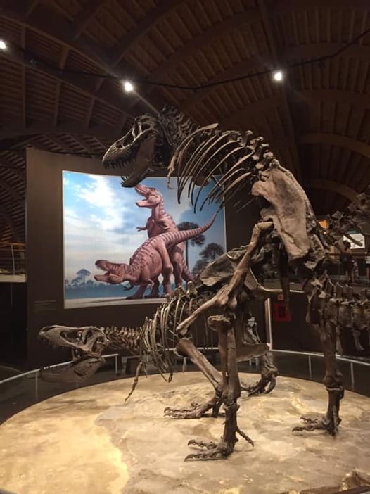 PereaConcha's tweet photo. Claramente este tyranosaurio está agarrando a su amigo para que no se caiga al Tigris. https://t.co/Ne4ph1bL48