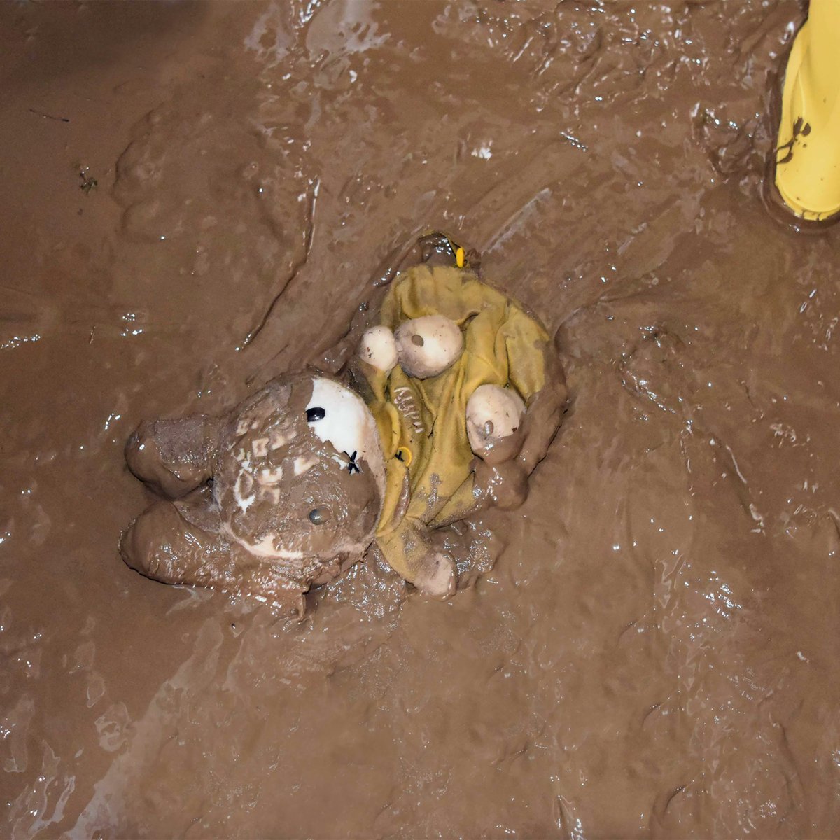 PrNews24_com's tweet image. Nach der #Flut: Gefährliche #Keime in Wasser und Schlamm - R+V-#Infocenter: strenge Hygieneregeln befolgen
Wiesbaden, 30. Juli 2021. Zwei Wochen nach der Hochwasserkatastrophe sind die... -#Aartal #Hochwasser #RVVersicherung