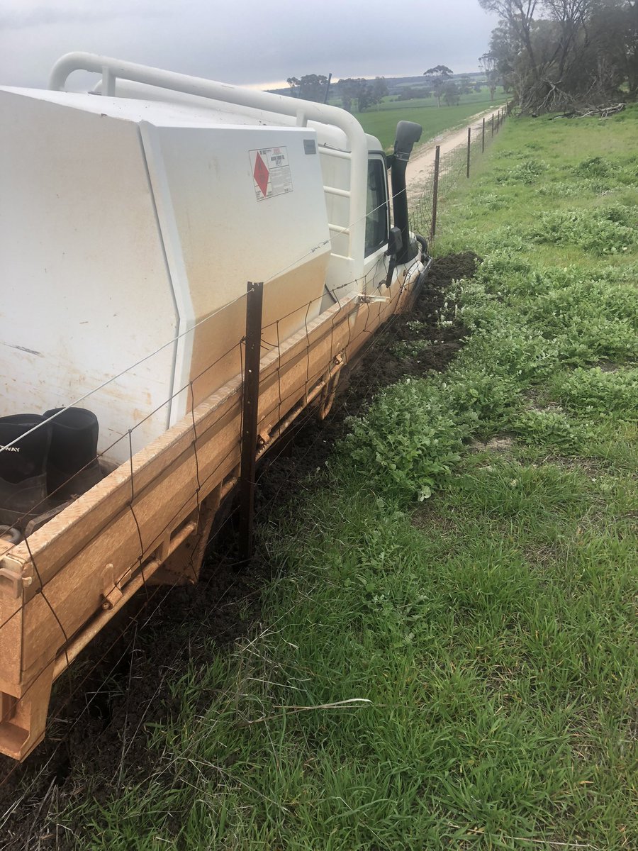 Darren Wilson tweet media