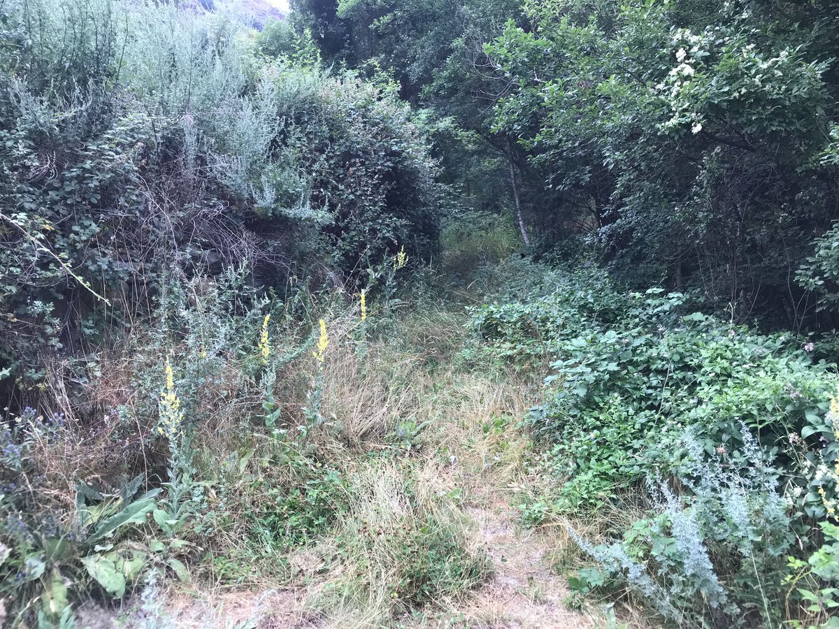 pnaltpirineu's tweet photo. Estem acabant de deixar apunt un dels darrers camins senyalitzats del #PNAltPirineu que faltava desbrossar amb les colles de reforç de manteniment que s'han contractat enguany com el camí d'Esterri d'Àneu a Isavarre
#ForestalCatalana #SEFOCAT https://t.co/hhnStUiMah