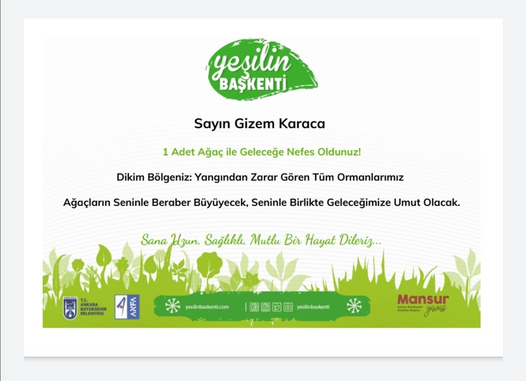 Çok üzgünüm. Yanan her dalı, her canlıyı, evlerini, hayatlarını kaybeden insanları düşündükçe içim yanıyor. Ne olur bir fidan, bin fidan demeden bir şeyler yapalım. <a href="/mansuryavas06/">Mansur Yavaş</a>