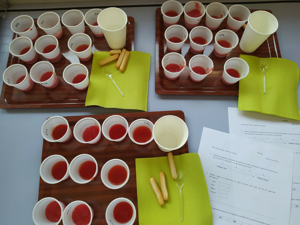 ITACYL's tweet photo. Pruebas sensoriales de 🍅triturado optimizado en nuestro #CIDEAS, elaborado con tomates de los huertos de @fintras, con la que colaboramos en el desarrollo de alimentos ecológicos procesados y sostenibles, facilitando la inclusión social de sus usuarios
#ITACyL #AnálisisSensorial https://t.co/5xQDgS6RAj