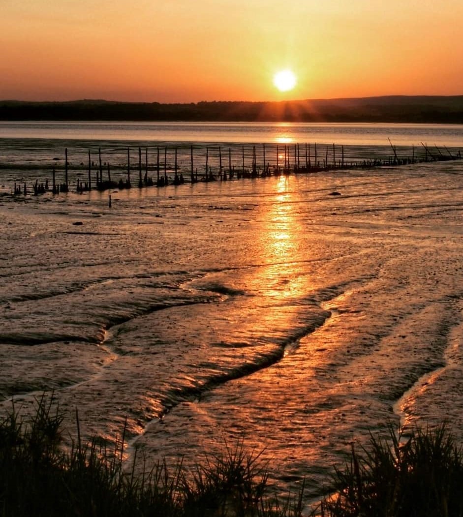 Our July newsletter just came out! You can read it here: 
bit.ly/3i9QLg6
We’re delighted to award our July Photo of the Month to Michael Prior (@mike.prior.68) for his fantastic sunset shot of the putcher ranks at Littleton-upon-Severn
#MySevernEstuary #DiscovertheSevern