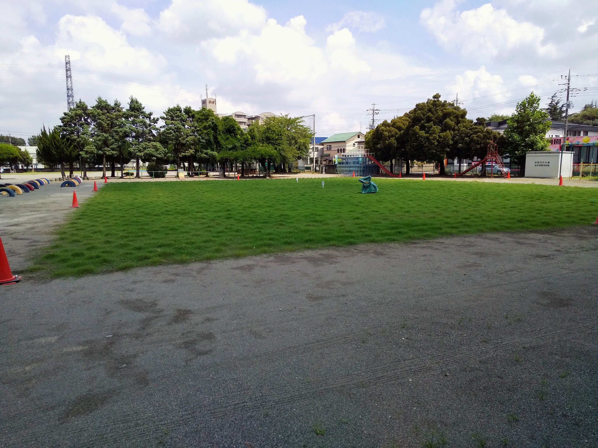 芝生の校庭 校庭芝生化｜東大和市公式ホームページ