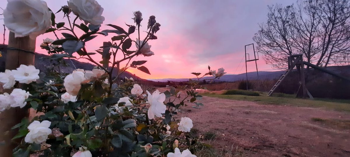 Sunset at the vineyards.
#farmlife #farming #southafrica #nature #theoutdoors #landscape #dam #guestfarm #weddingvenue #travel #adventure #views #karoo #koovalley #bassfishing #cottage #holidays #chilled #getaways #cottages #selfcatering #hottubs #horseriding
