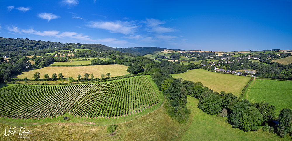 Vineyard of <a href="/swanafordwine/">Swanaford Vineyard</a>.  <a href="/WineGBWest/">WineGB West</a>