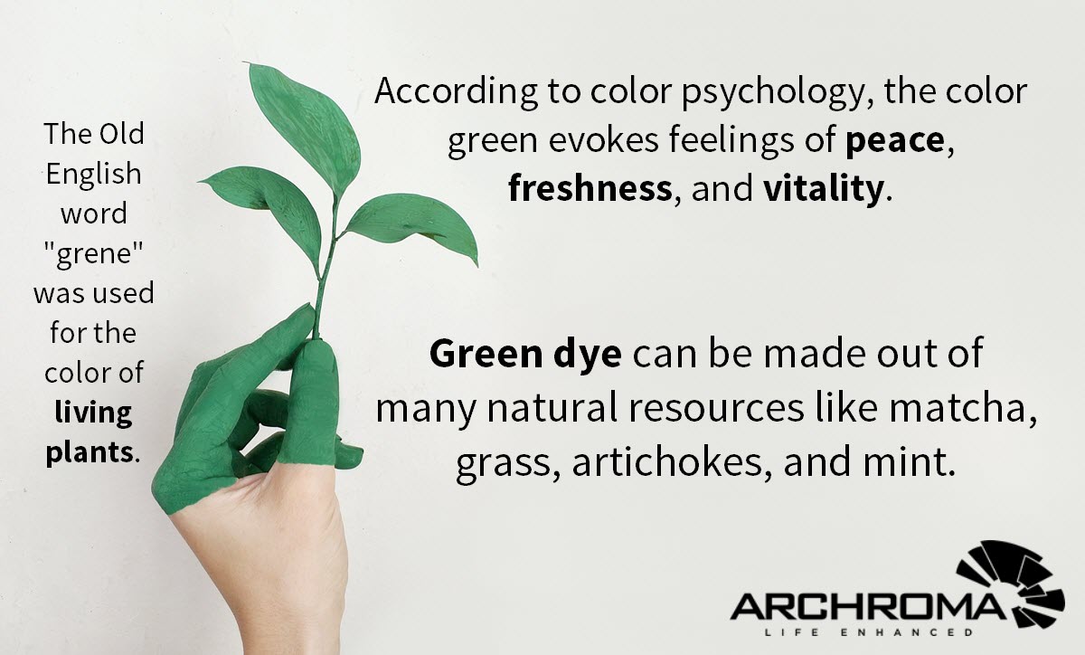 archromagroup's tweet photo. Did you know? 🍃 #green
#colorfulfriday #colorfacts #colorpsychology https://t.co/va65YUlhBF