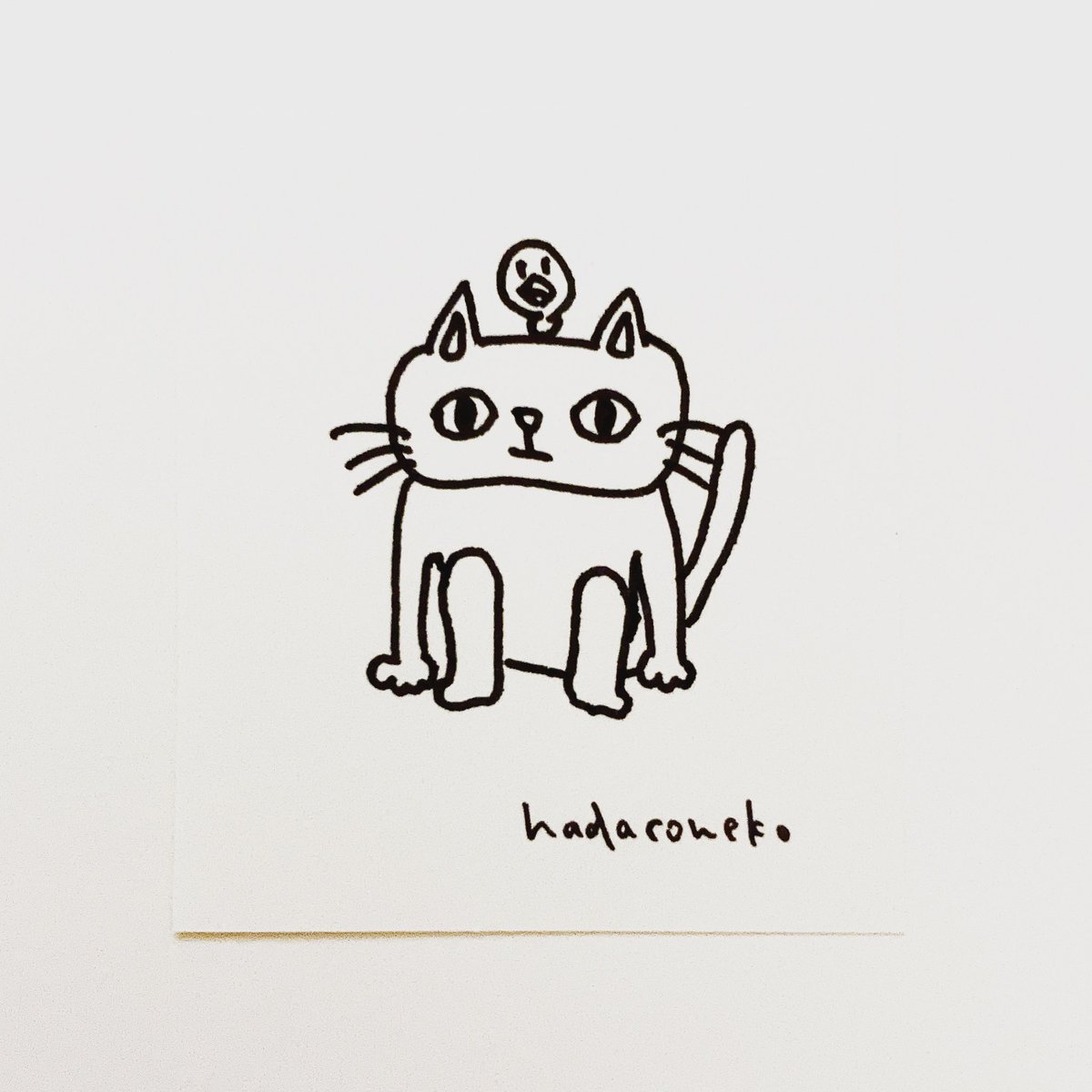 肌子 Hadaconeko Twitter