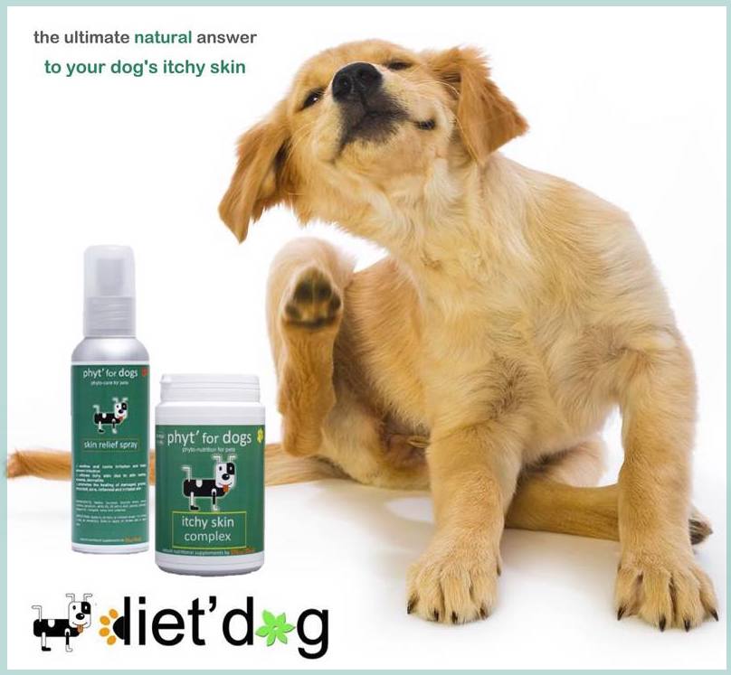 GoodVetPetGuide's tweet photo. .@DietDoGUK This amazing Skin Relief Spray blends 14 plant extracts with antibacterial &amp; anti-fungal properties that act as an ideal soothing, cooling and antiseptic combination - promoting rejuvenation, healthy skin &amp; hair growth. 
https://t.co/9gcdg8v4Jf https://t.co/RCaVuuGsxC