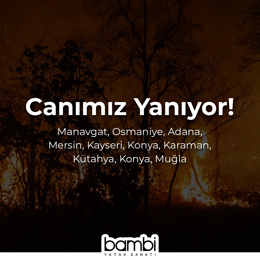 21 ilde çıkan orman yangınlarını büyük bir üzüntüyle takip ediyoruz. En kısa zamanda kontrol altına alınmasını umut ediyoruz. Yangınlarda etkilenenlere acil şifalar diliyoruz.
.
.
#bambiyatak #bambiyataksanatı #orman #yangın #ormanyangını #geçmişolsun