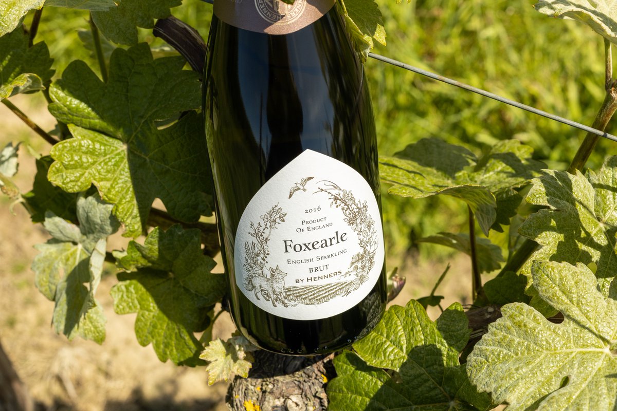 VirginWines's tweet photo. With English wine on the rise, the @EveningStandard have put together a list of some of the best Britain has to offer! We're delighted to see our exclusive Henners Foxearle Sparkling features🍾

Check out the full list here ➡️ https://t.co/h0iQJpygRk

#englishwine @TamaraHinson https://t.co/3D4mVjYTWu
