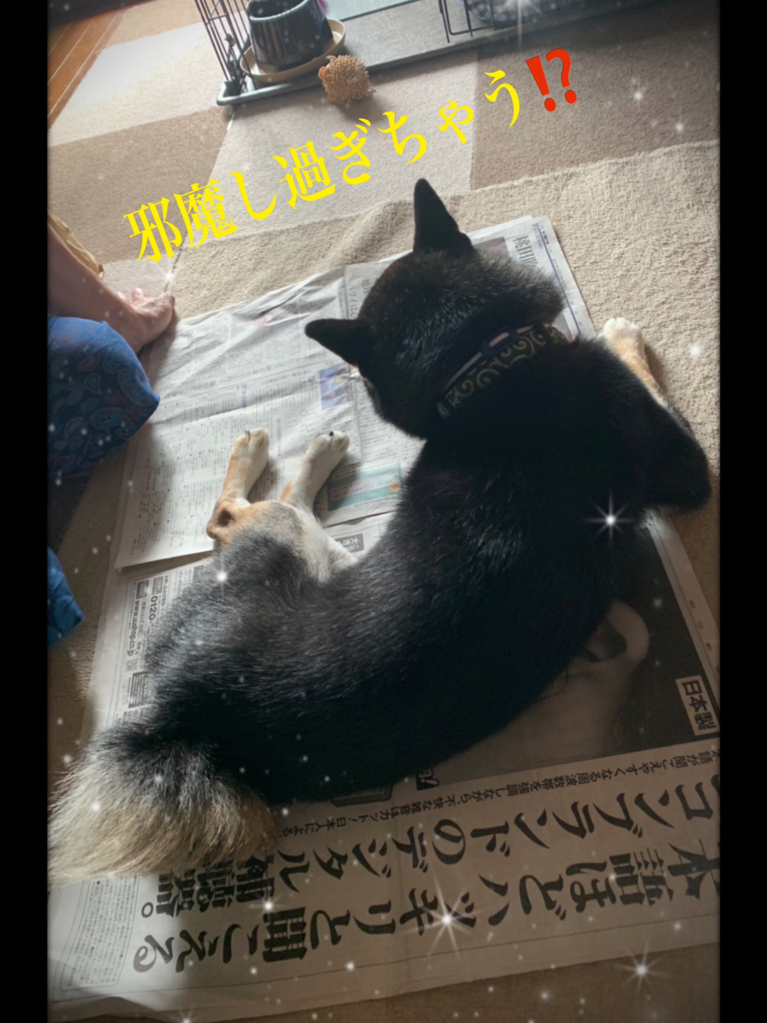 乗っかる Twitter Search Twitter