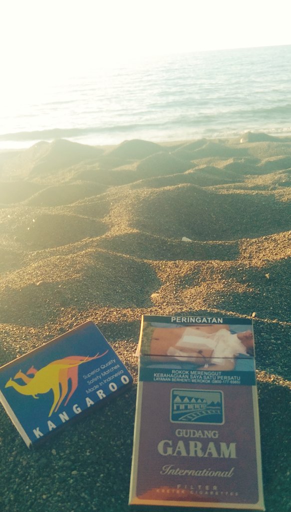 Laut, pasir, kangguru dan pria punya selera. Tapi masih tetap sendiri. 🤫