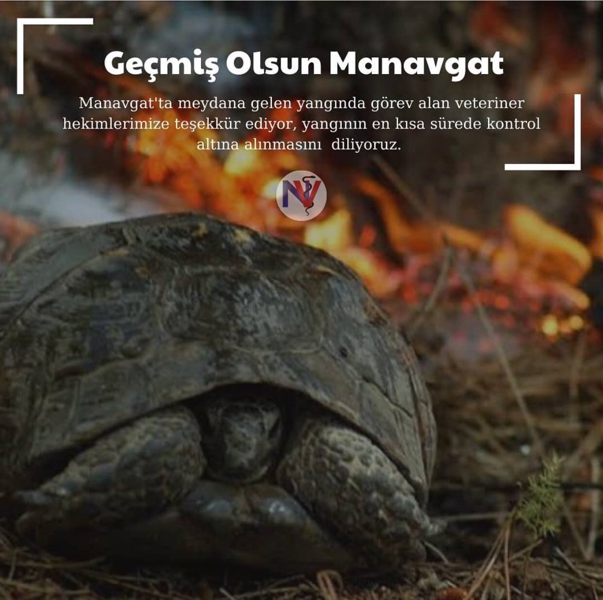 #türkiyeyanıyor #manavgat