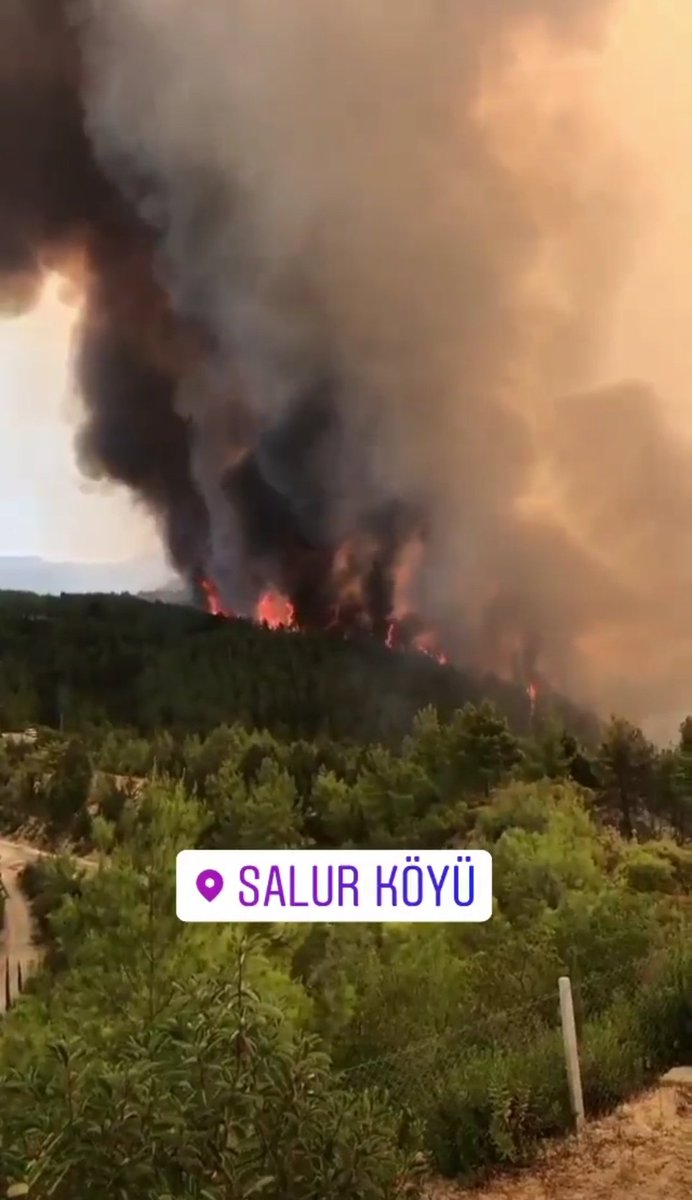 babyhavuc's tweet photo. Manavgat Salur köyü yanıyormuş  köyde mahsur kalan insanlar varmış itfaiye gelmemiş henüz elden ele yayalım arkadaşlar https://t.co/WYV3lruxlq