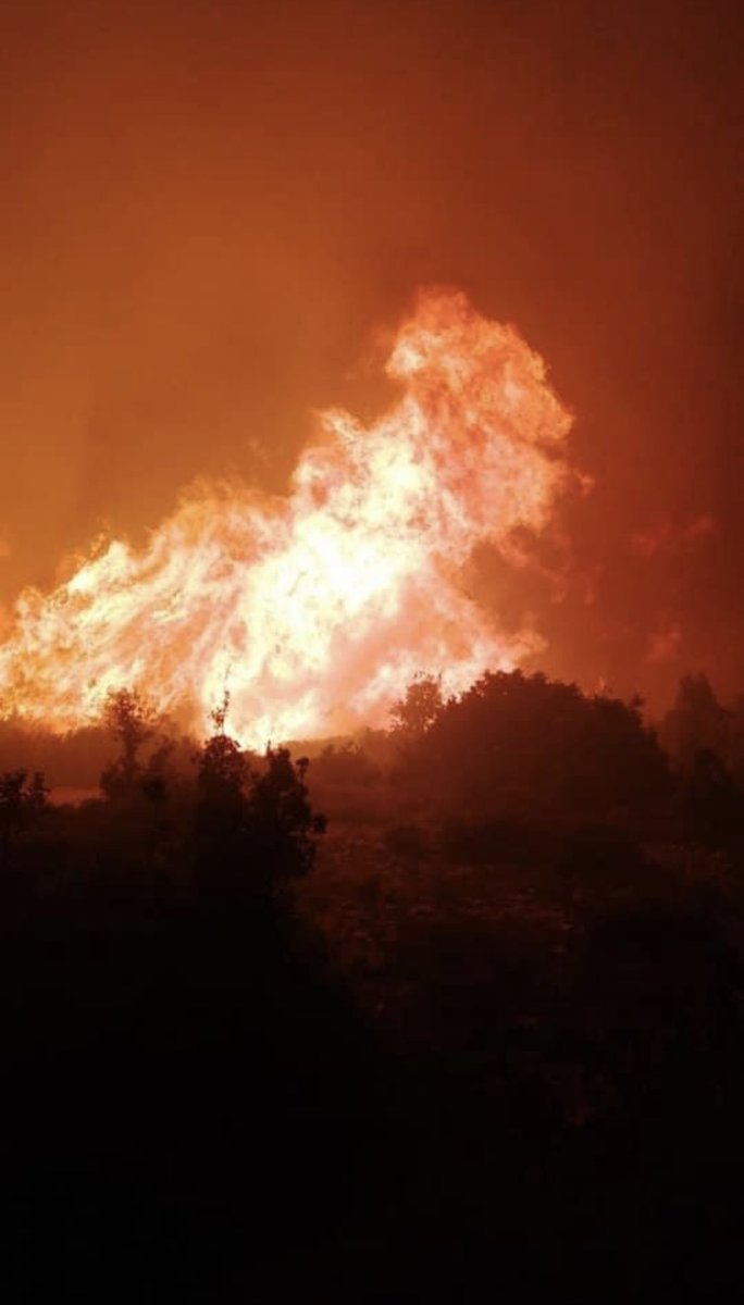 Chahineactor's tweet image. 