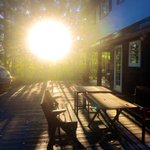 綺麗な夕日が撮れたことよりも？犬が発光していることに驚き!