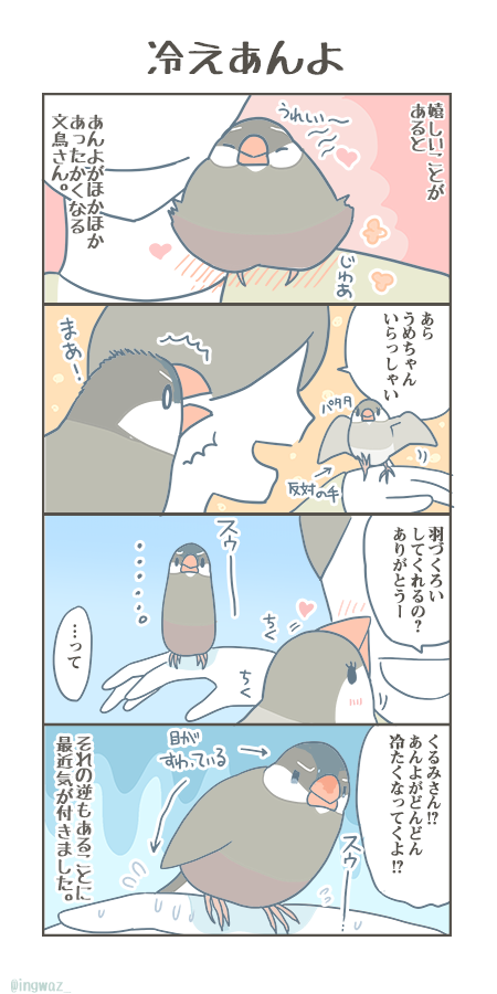 ひえあんよ。

#Buncho #javasparrow #文鳥 