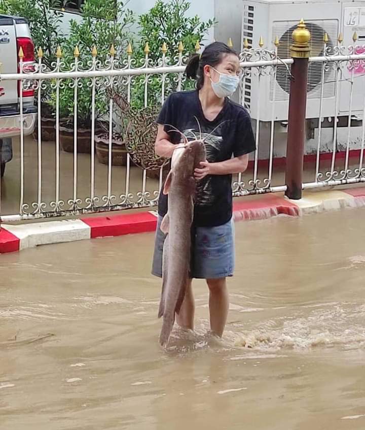 CBAuITP4hbluCL1's tweet photo. #น้ําท่วมแม่สอด https://t.co/1fMA905bKP