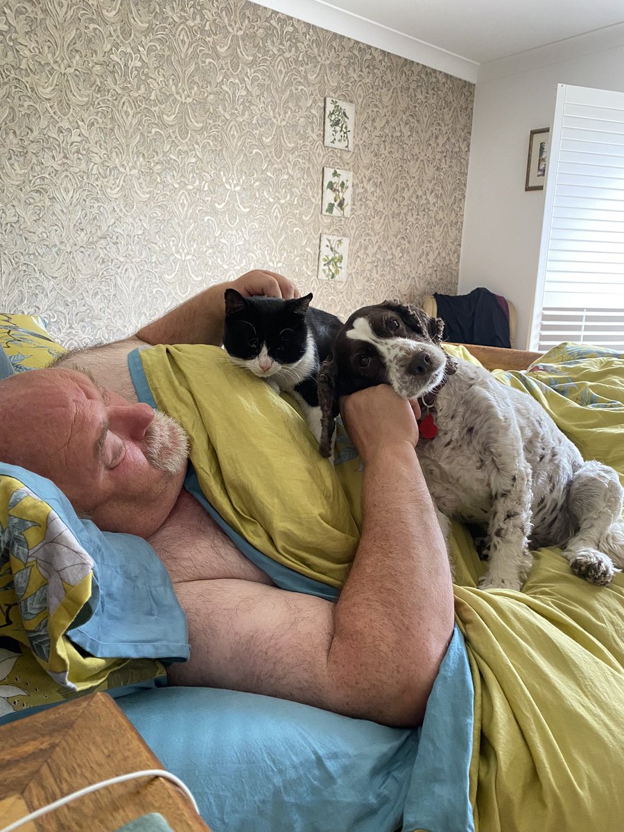 SpanielsSuper's tweet photo. We kept dad company while he had a lie in 😇 He was really grateful 😊 #OhNoNotYouTwo #FiveMinutesPeace https://t.co/qR5bT02Pc8