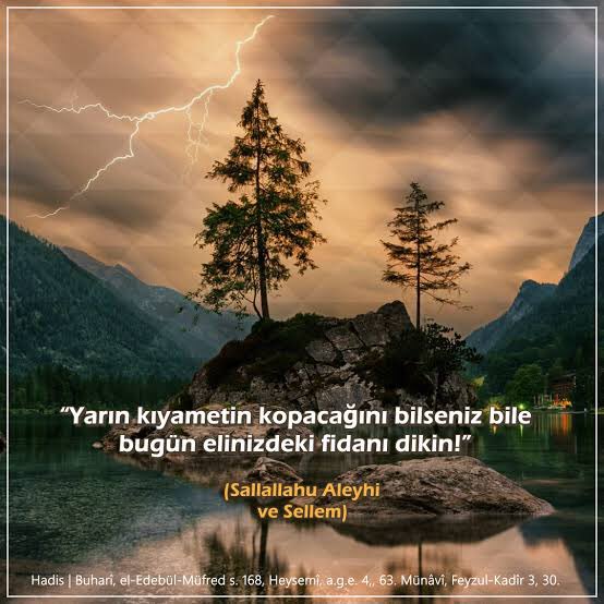 HAYDİ AĞAÇ DİKMEYE👌👌kontrolsüz yapılaşma ormansızlaşmayı, ormansızlaşma kuraklığı artırıyor. Yağmur getiren, iklimi düzenleyen ve biyoçeşitliliğin devamlılığını sağlayan ormanlara sahip çıkalım,ağaç dikme seferberliği başlatalım👍