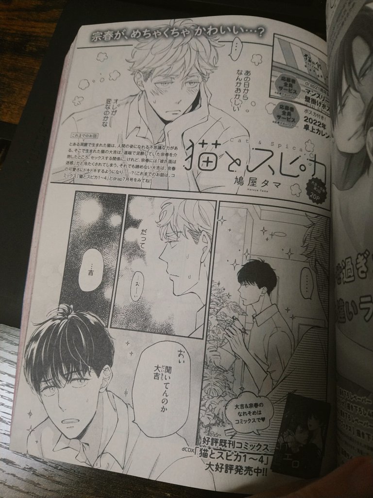 drap9月号さん「猫とスピカ」大吉×宗春編20ページ載せていただいてます。どうぞよろしくお願いします🐾本日発売です! 