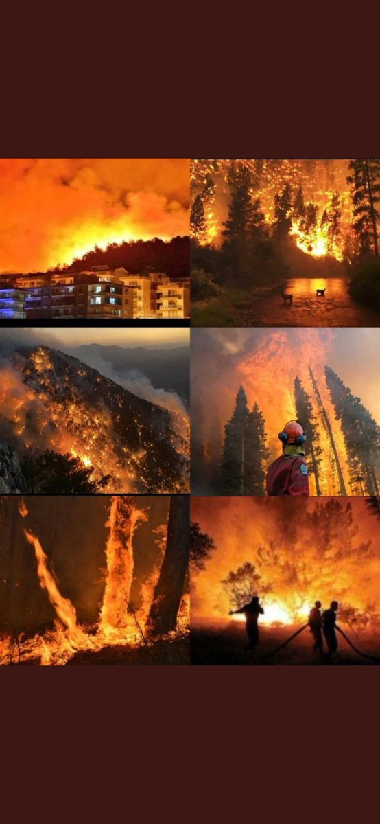 ...
#turkiyeyaniyor #TurkiyeYAKILIYOR