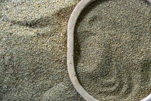 GFAiR (@gfairforum) on Twitter photo New study shows that eating millets can reduce the risk of developing type 2 diabetes and help manage blood glucose levels in people living with diabetes.
<a href="/CrawfordFund/">The Crawford Fund</a> <a href="/JoannaKP/">Joanna Kane-Potaka</a> <a href="/ICRISAT/">ICRISAT</a>
👉🏾buff.ly/3zRbawu New study shows that eating millets can reduce the risk of developing type 2 diabetes and help manage blood glucose levels in people living with diabetes.
<a href="/CrawfordFund/">The Crawford Fund</a> <a href="/JoannaKP/">Joanna Kane-Potaka</a> <a href="/ICRISAT/">ICRISAT</a>
👉🏾buff.ly/3zRbawu
