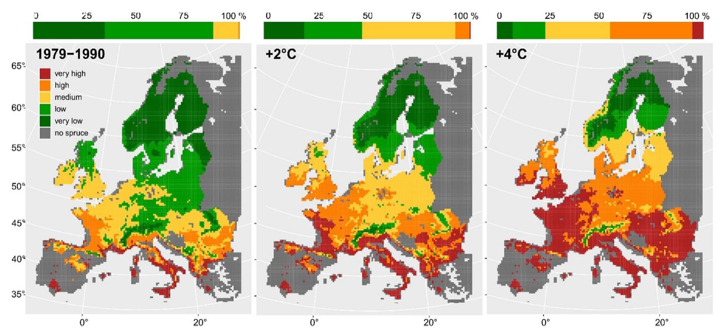 Rupert Seidl Including A Continental Scale Assessment Of The Norway Spruce Growing Stock At Risk From Ips Typographus Under Different Levels Of Warming Conclusion After The Bark Beetle Is Before The
