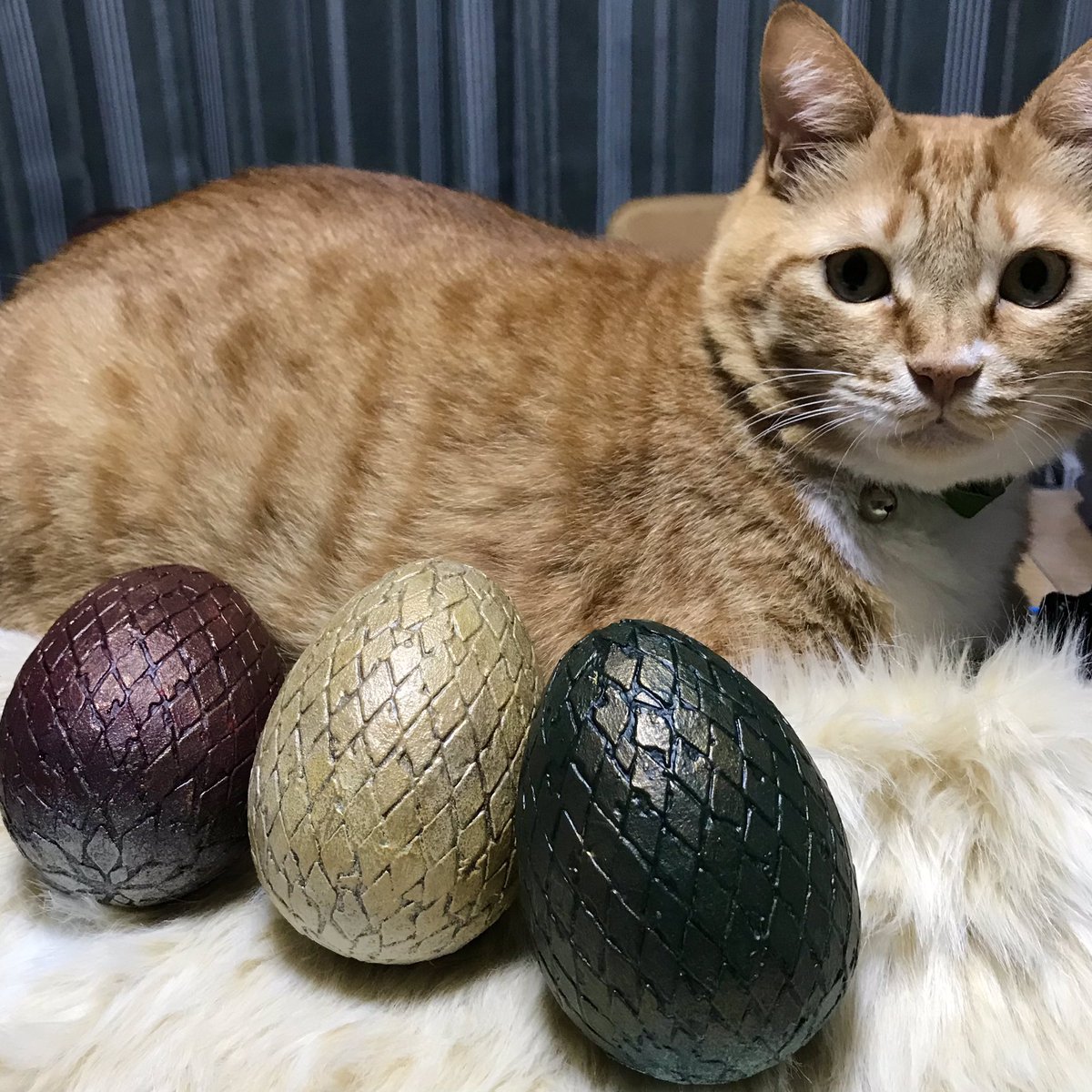 ドラゴンの卵