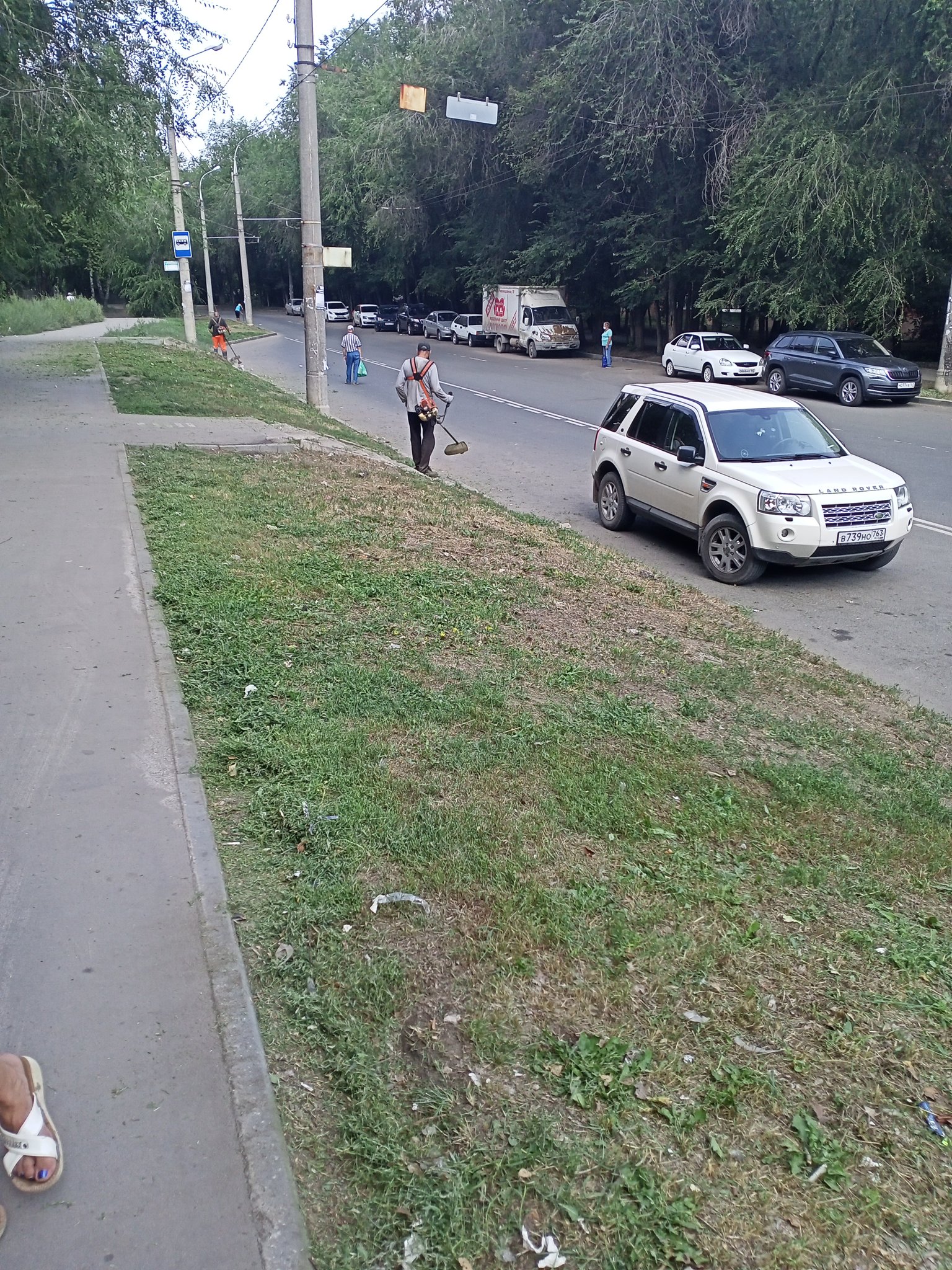 Светлана Лусис on Twitter: \"Косят траву там где ее нет( по земле,по ...