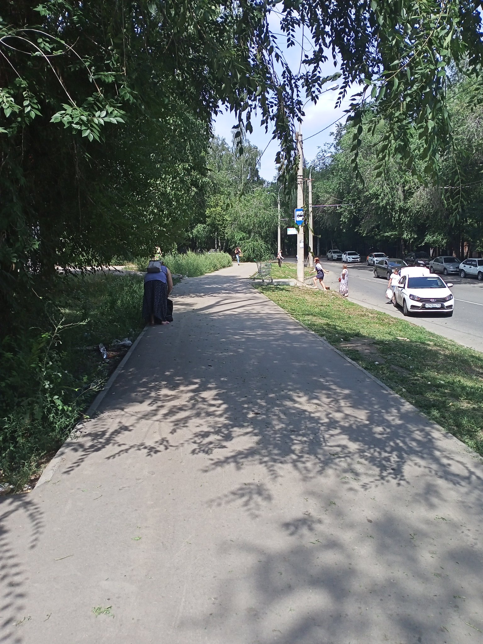 Светлана Лусис on Twitter: \"Косят траву там где ее нет( по земле,по ...