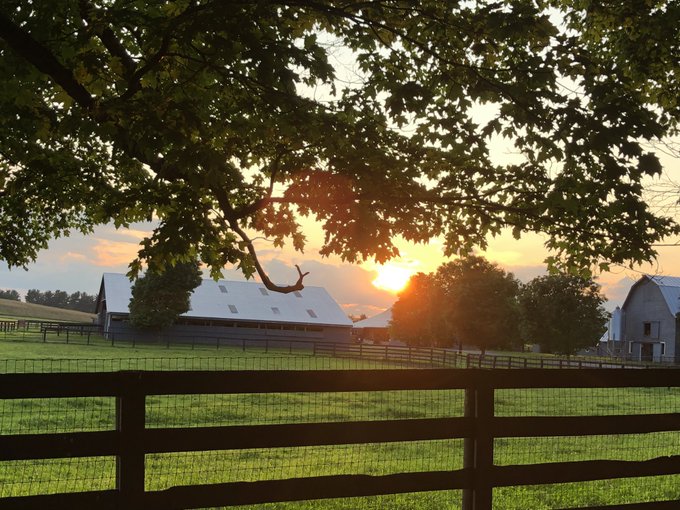 An evening walk surrounded by lush green beauty. https://t.co/AL9MIjtdMe<a href="/tag/spring"class="tags"><span>#spring</span></a>