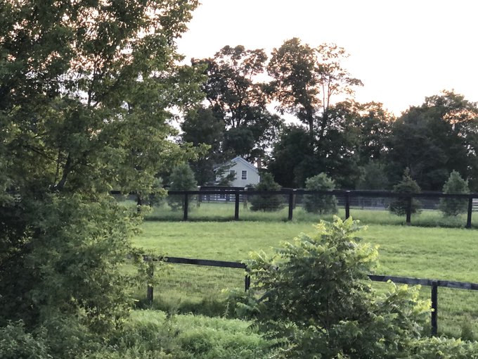 An evening walk surrounded by lush green beauty. https://t.co/AL9MIjtdMe<a href="/tag/spring"class="tags"><span>#spring</span></a>
