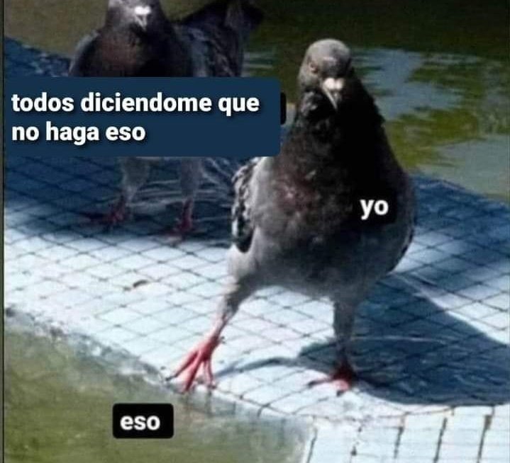 no me llamo vicenta tweet media