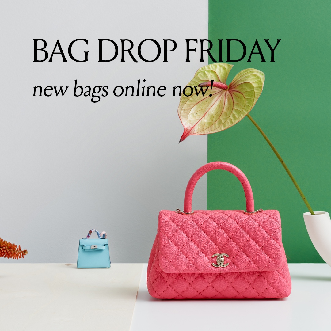 Saclab-Official on X: It's Bag Drop Friday! Head to