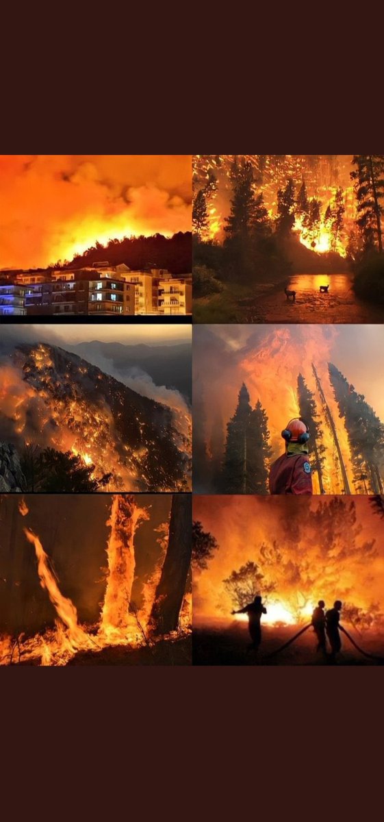 Eshngdk's tweet photo. Bunlar film karesi olsaydı keşke.
#turkiyeyaniyor
#PrayForTurkey
#TuerkiyeYakılıyor
#TuerkiyeYAKILIYOR https://t.co/C0bV8LknFK