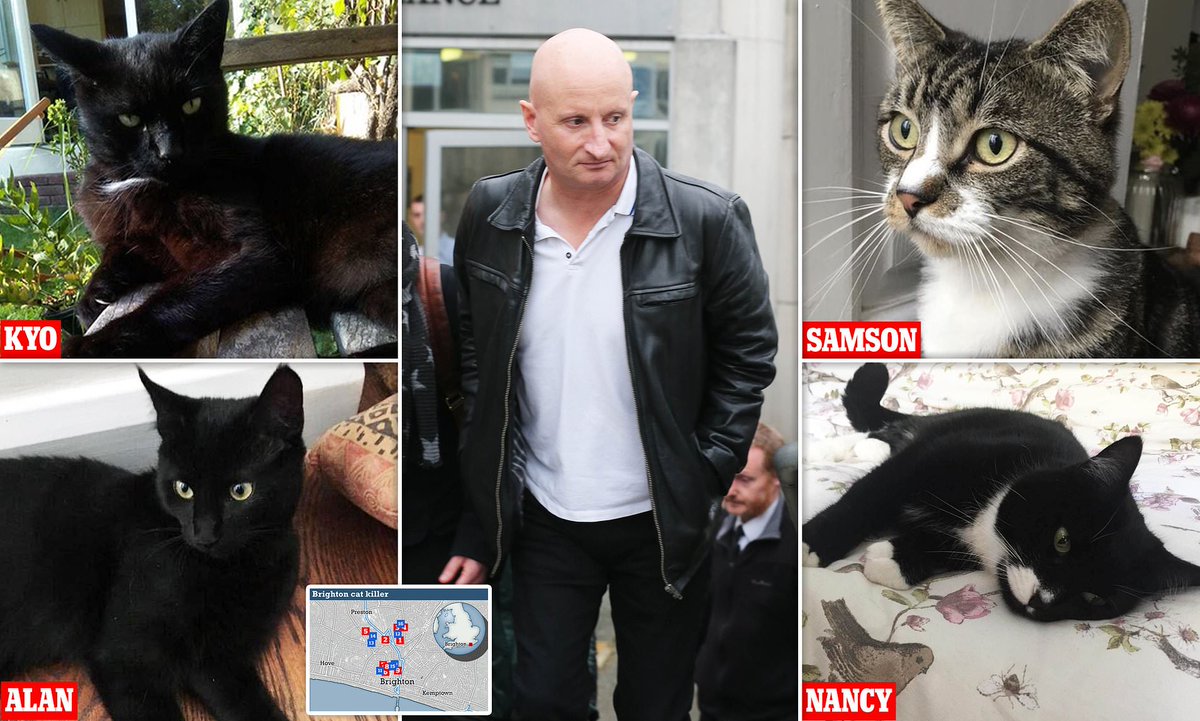 Protect_Wldlife's tweet photo. 5 YEARS IN JAIL - EXCELLENT NEWS!!! 

Brighton cat killer Steve Bouquet jailed for 5 years for mass slaughter of pets.

He knifed 16 cats, killing nine, in Brighton, East Sussex, between October 2018 and June 2019 in a case that had stumped detectives. https://t.co/eWbFDLrkTG https://t.co/VWpFRvMONG