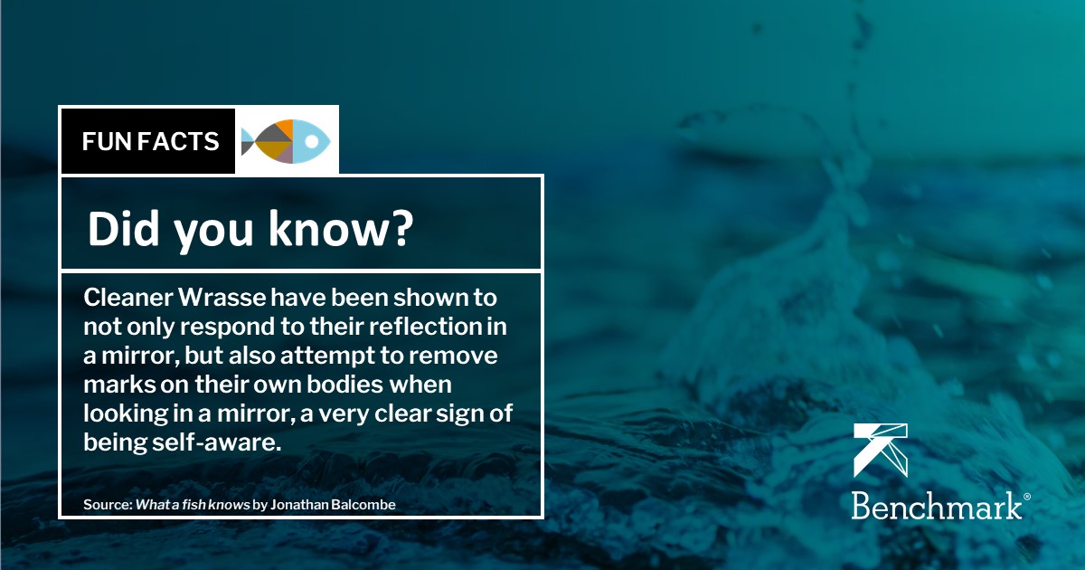 Friday fun fact!